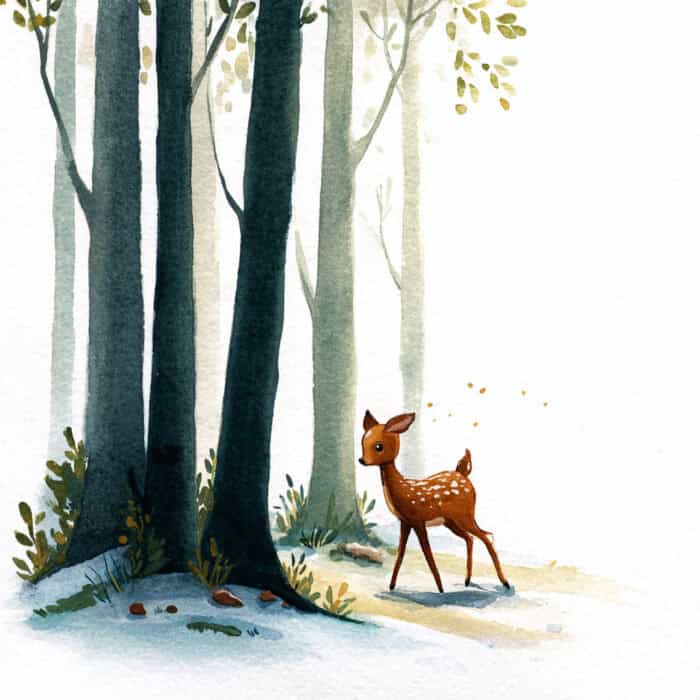 Rozprávka pre deti - O srnčekovi, ktorý sa po prvýkrát stretol s deťmi