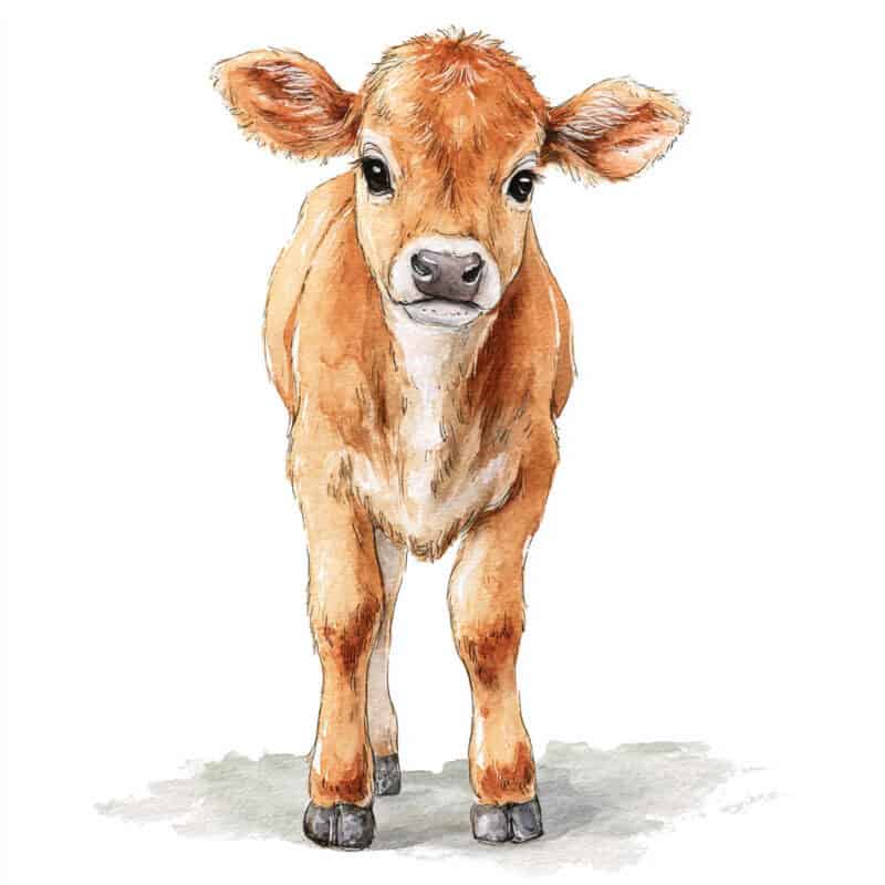 Rozprávka na čítanie - Teliatko a srnček