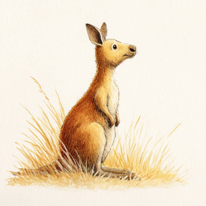 Rozprávka na čítanie - Klokanka Ruby