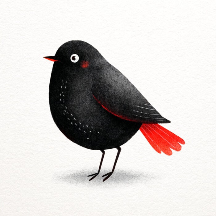 Rozprávka na dobrú noc - Malé vtáčiky