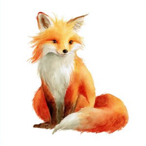 Rozprávka na dobrú noc - Ako vlk Bruno prekabátil líšku