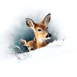 Rozprávka na dobrú noc - Prvý sneh