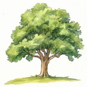 Rozprávka pre deti - Zubaté strašidlá – Čarovný strom