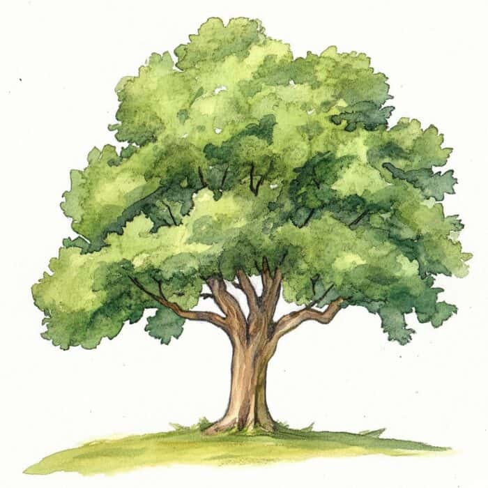 Rozprávka pre deti - Zubaté strašidlá – Čarovný strom